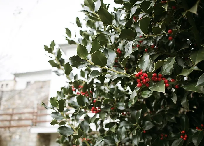 Feels Like In Apartment Zagora