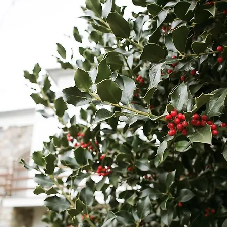 Feels Like In Διαμέρισμα Ζαγορά